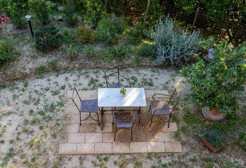 带1个卧室的高级公寓, Agriturismo Bellandi