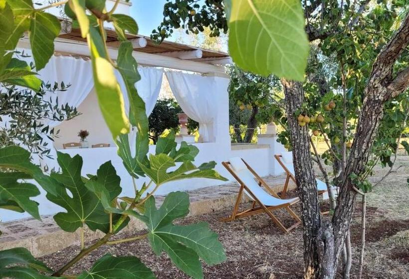 Номер Стандарт Внутренний, Masseria Ferarelli Trepizzi