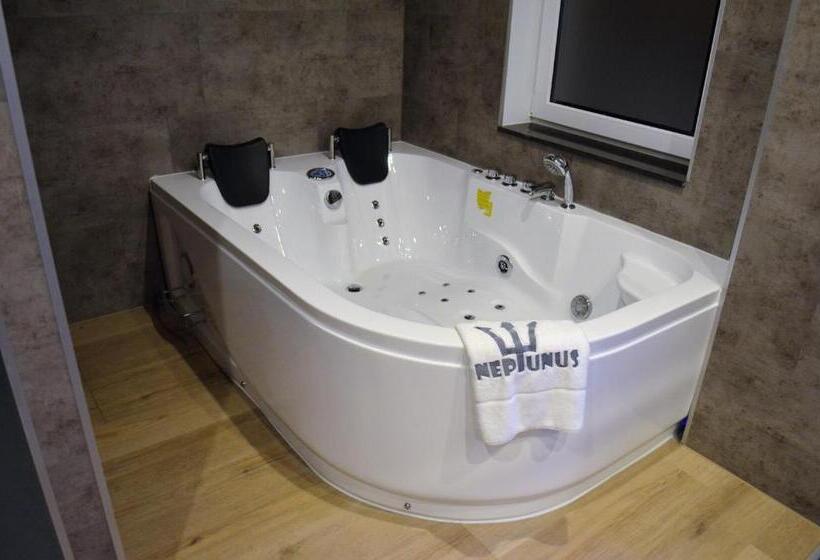 Люкс Повышенной Комфортности, Neptunus