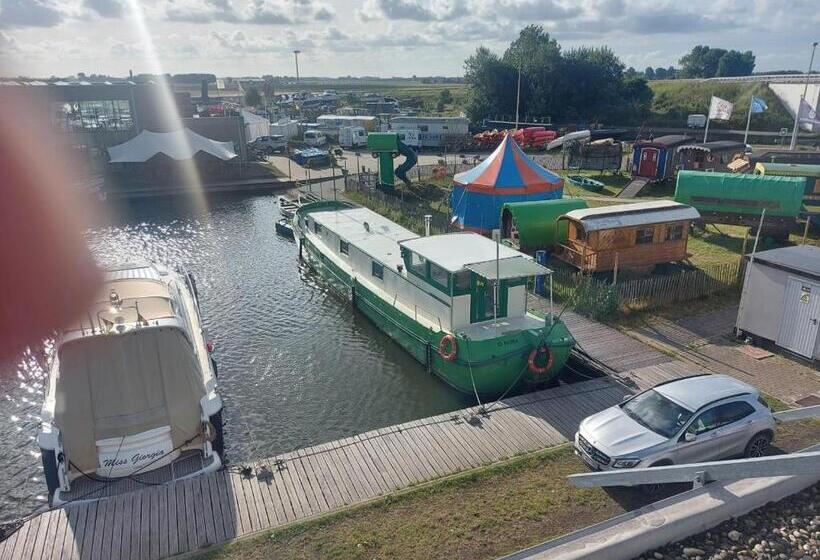 Номер Стандарт, Neptunus