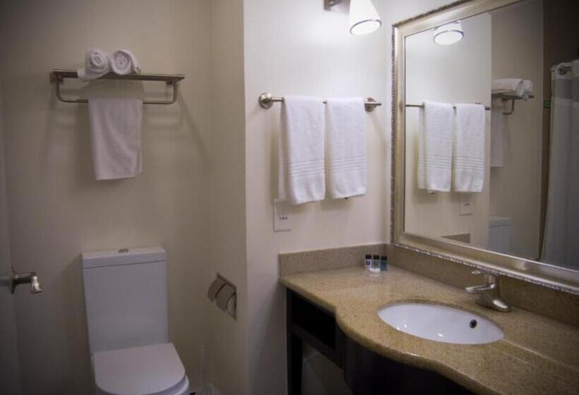 Номер Стандарт Кровать Кинг Адаптированный для Инвалидов, Hampshire Hotel   Ballito