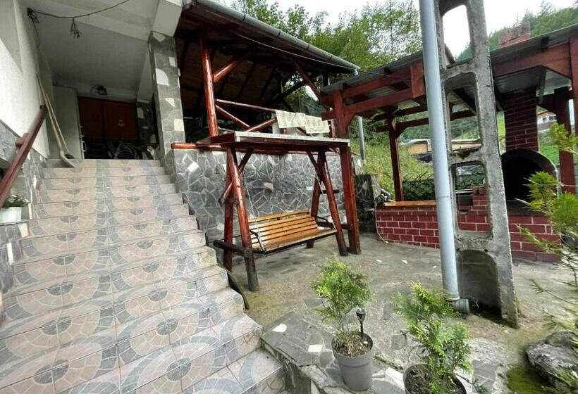 ویلای 1 خوابه, Vila Maria Dambovicioara
