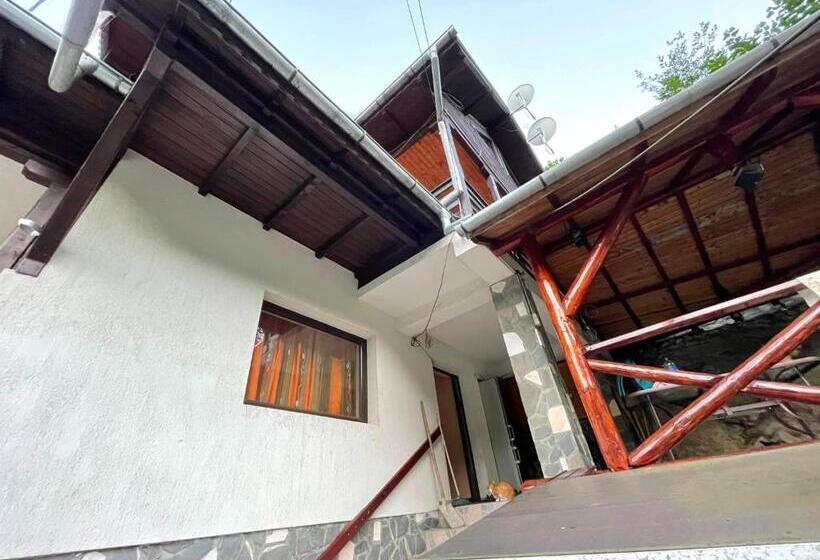 ویلای 1 خوابه, Vila Maria Dambovicioara