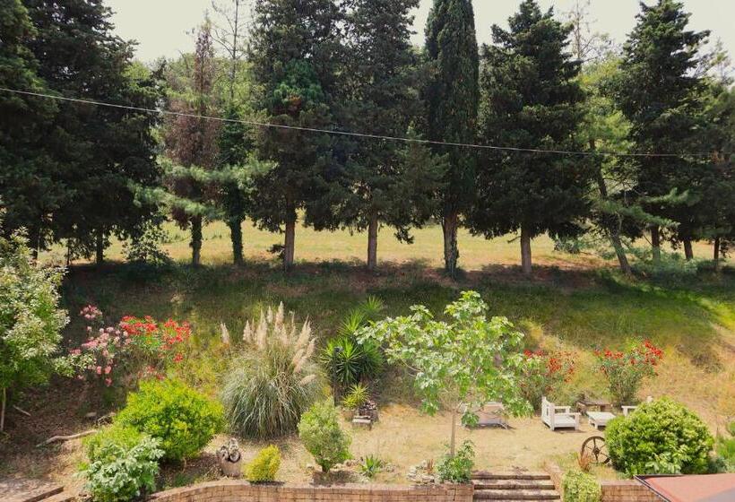 Номер Стандарт, Tierra Cristiana