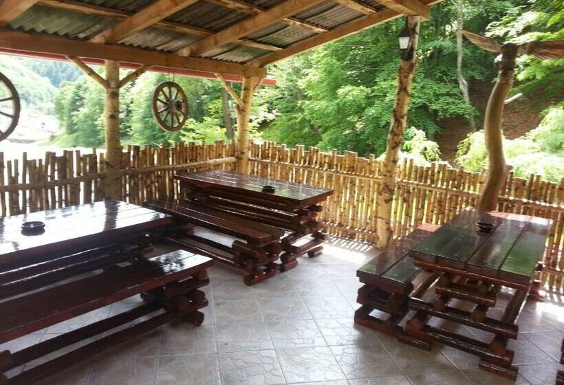 اتاق استاندارد با بالکن, Pastravaria Romani
