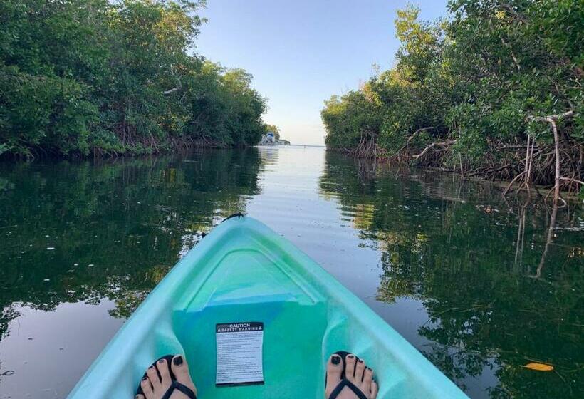 シングルデラックスルーム, Coconut Cay Resort