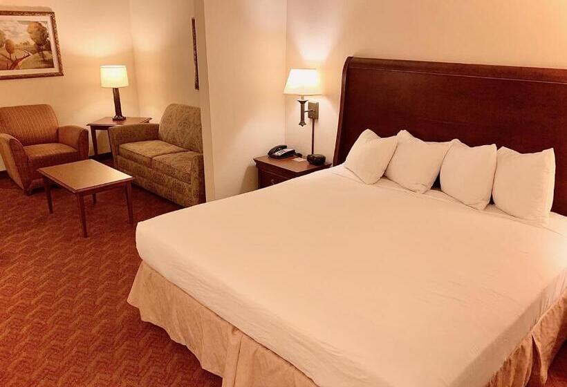 Студио Стандарт Кровать Кинг, Spark By Hilton Woodbridge