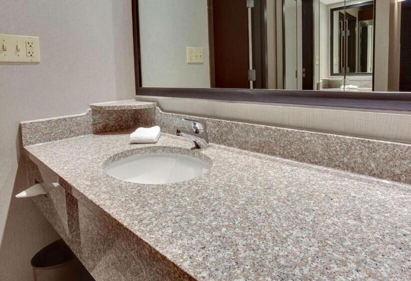 سوئیت با تخت بزرگ, Drury Inn & Suites Louisville East