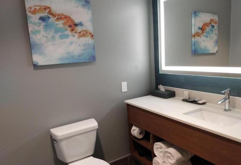스탠다드 룸, La Quinta Inn & Suites By Wyndham Bardstown