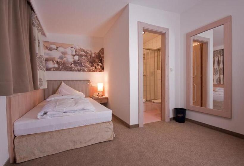اتاق استاندارد یک نفره, Olympia Relax Hotel Leonhard Stock