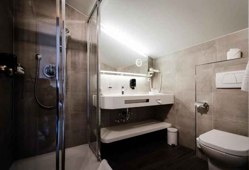 اتاق استاندارد یک نفره, Olympia Relax Hotel Leonhard Stock