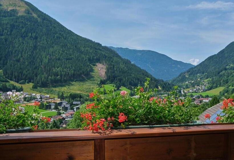 اتاق استاندارد با بالکن, Landhaus Hinteregger