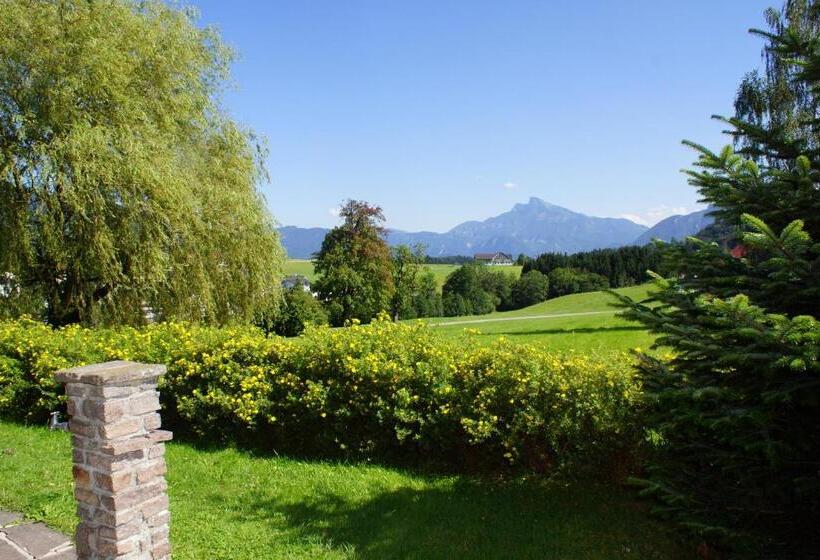 آپارتمان 1 خوابه, Landhotel Prielbauer