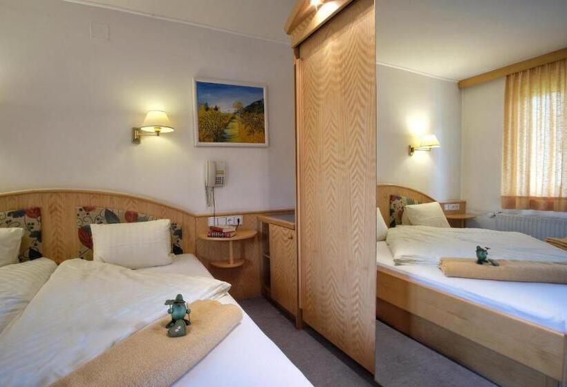 Номер Стандарт Вид на Горы, Seehotel & Seeapartments Kärntnerhof  Direkt Am See!