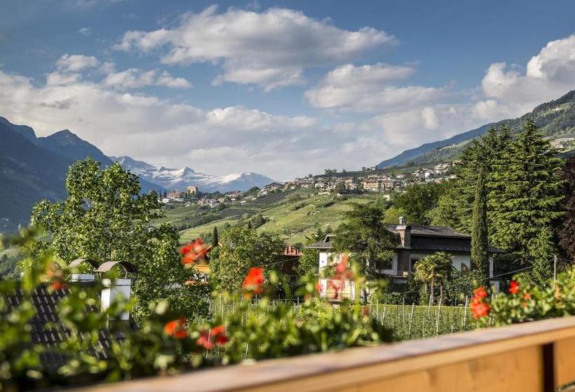اتاق استاندارد یک تخته با بالکن, Sonnenburg