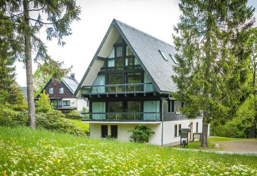 Студия Стандарт, Berghotel Friedrichshöhe
