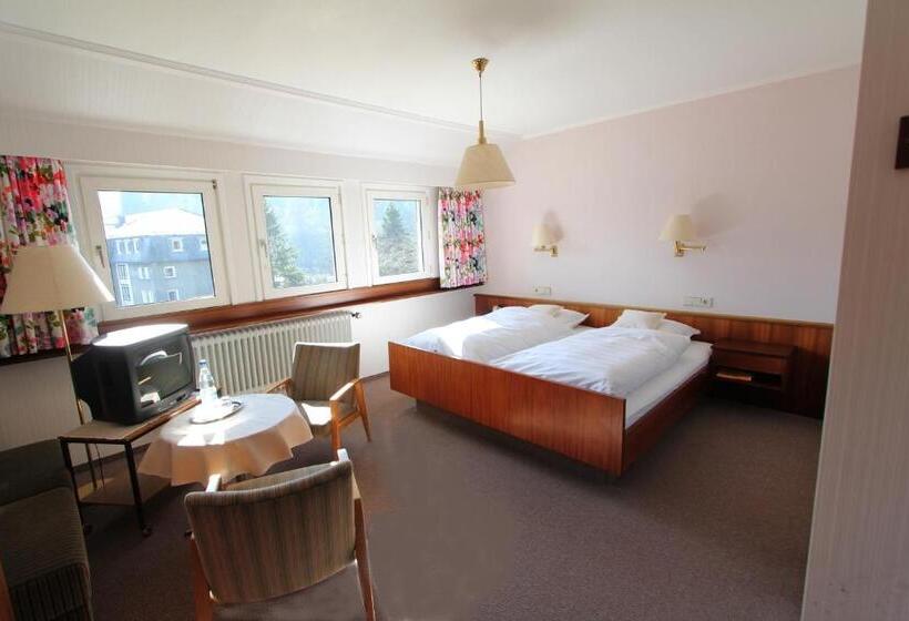 Номер Стандарт, Gasthaus Tröster