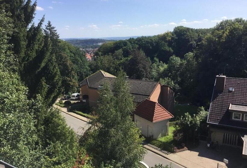Номер Стандарт, Habitación Doble Estándar   Panorama Hotel Pension Frohnau