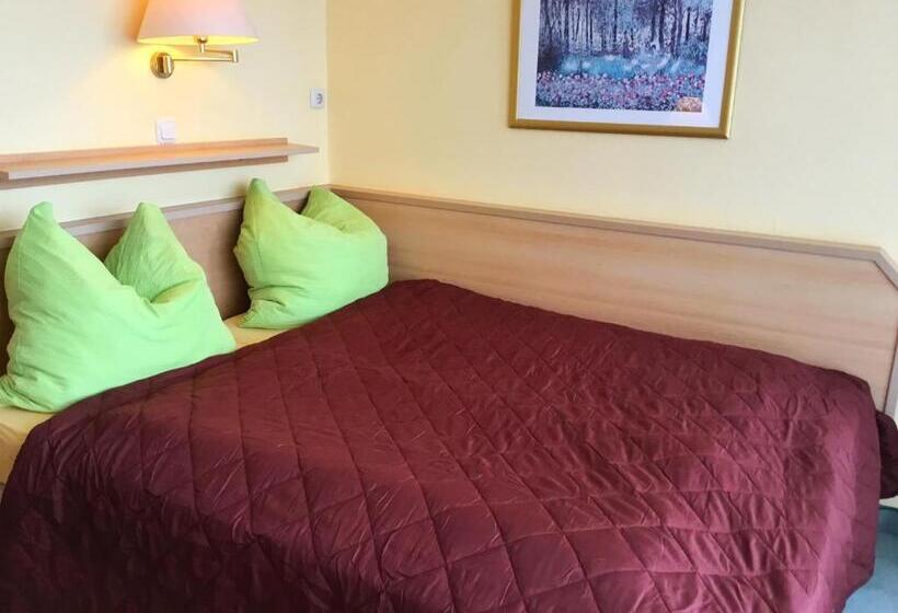 Номер Стандарт, Habitación Doble Estándar   Panorama Hotel Pension Frohnau