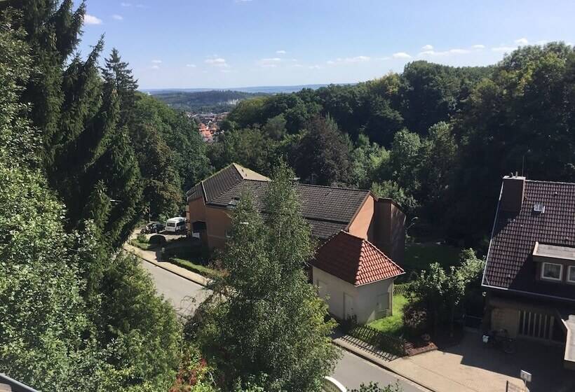 Номер Комфорт Индивидуальный, Habitación Doble Estándar   Panorama Hotel Pension Frohnau