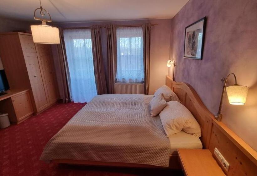Номер Стандарт, Pension Geiger