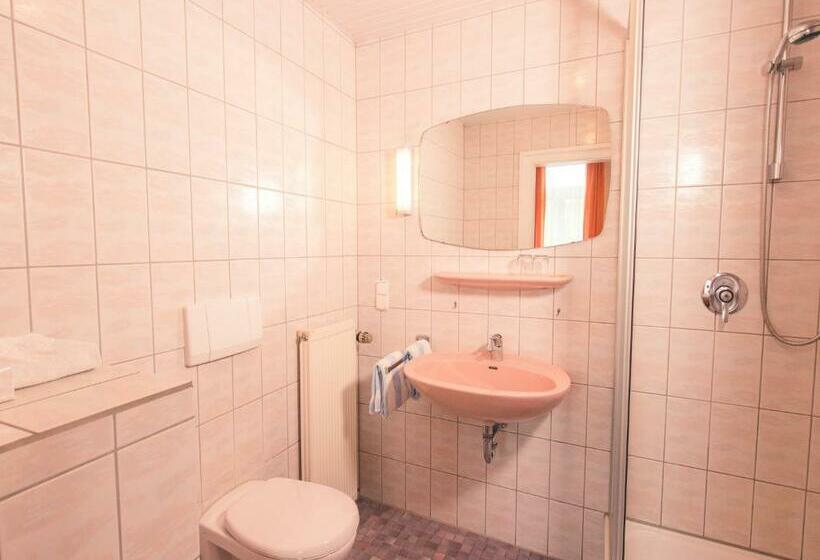 Номер Стандарт Трехместный, Rheinhotel Starkenburger Hof