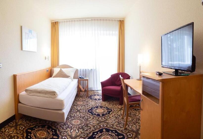Номер Economy Индивидуальный, Vitalhotel König Am Park