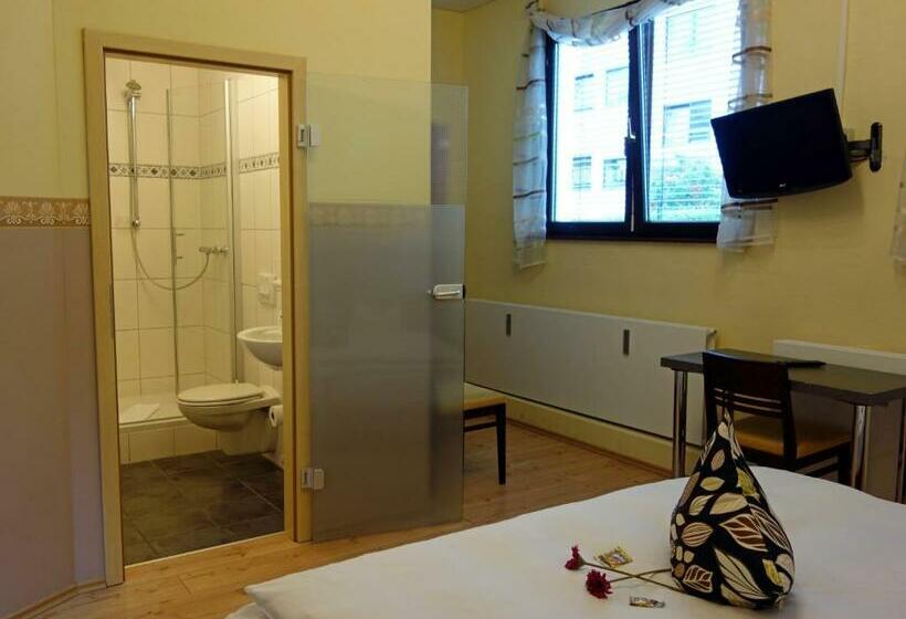 Номер Стандарт, Stadthotel Regensburg