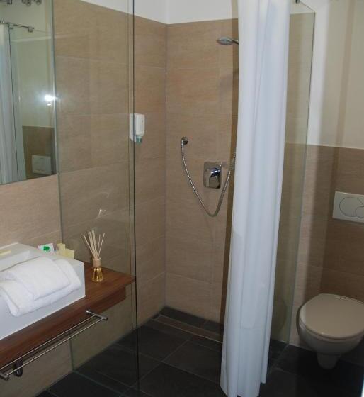 Номер Стандарт Индивидуальный, Zar Hotel Vitalis