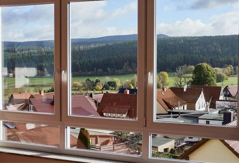 Номер Стандарт, Berghotel Tambach