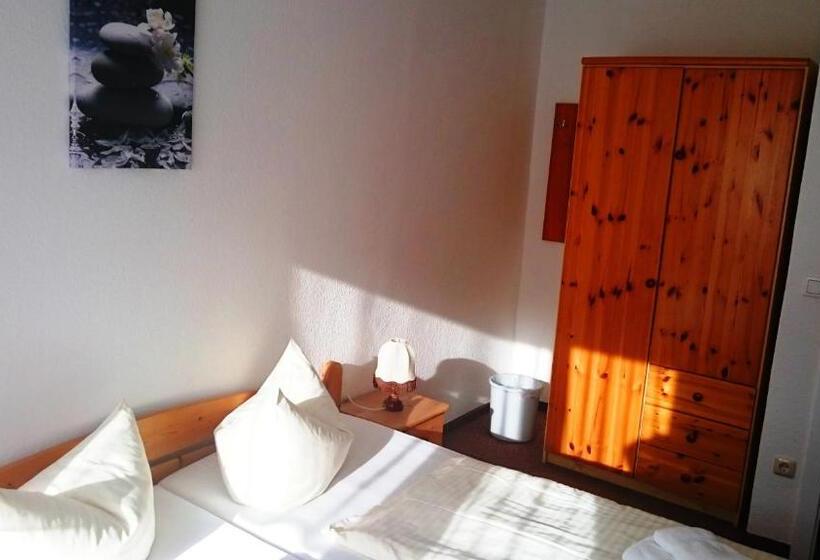 Номер Стандарт Индивидуальный, Ferienhotel Zwotatal
