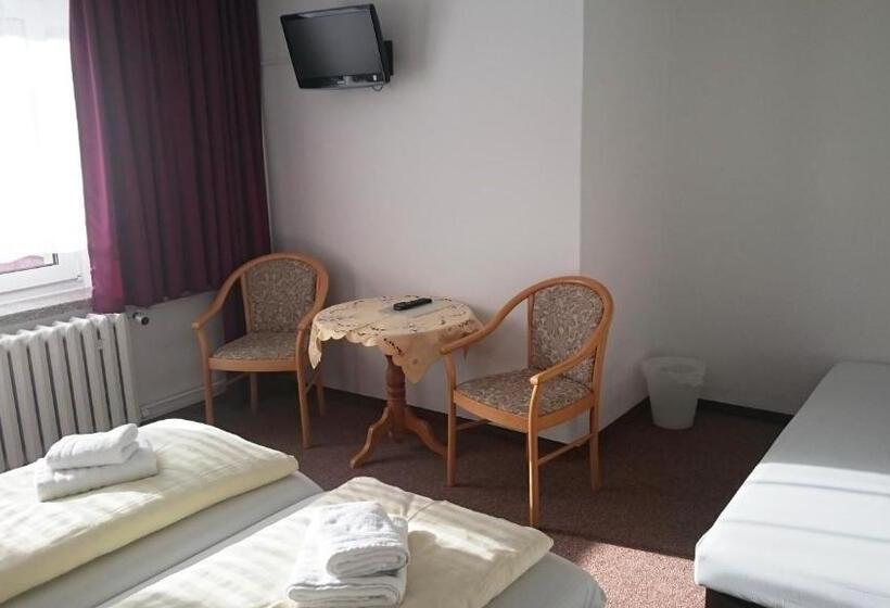 Номер Стандарт, Ferienhotel Zwotatal