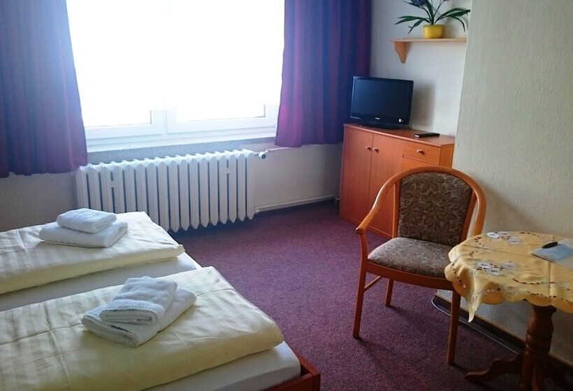 Номер Стандарт, Ferienhotel Zwotatal