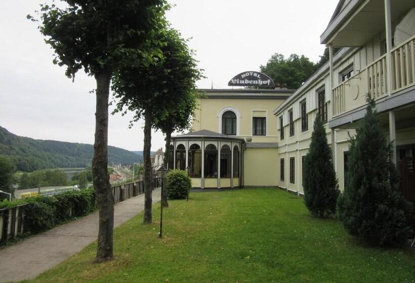 Номер Стандарт Индивидуальный, Lindenhof