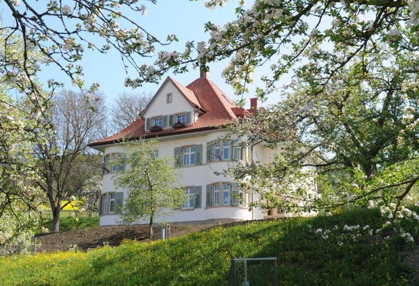 침실 1개 테라스 아파트, Gasthaus Schwanen