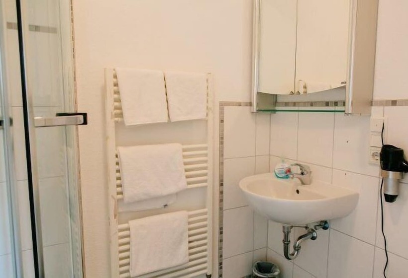 Номер Стандарт Индивидуальный, Landhotel Airport Inn