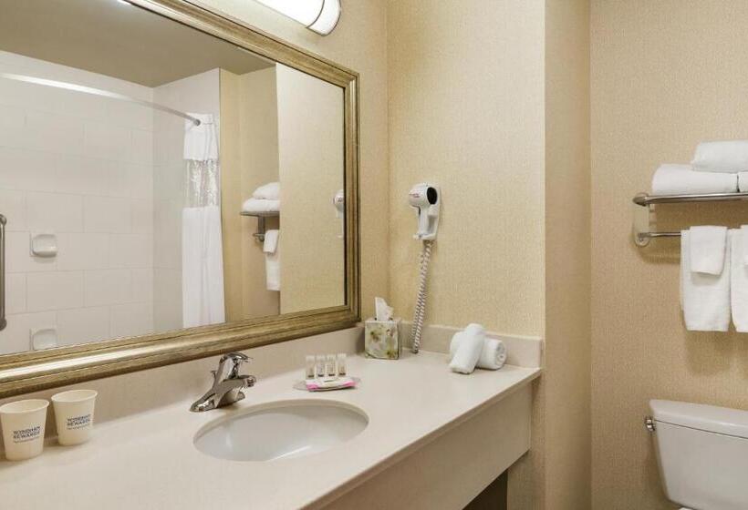Люкс Кровать Кинг, Days Inn & Suites By Wyndham Edmonton Airport