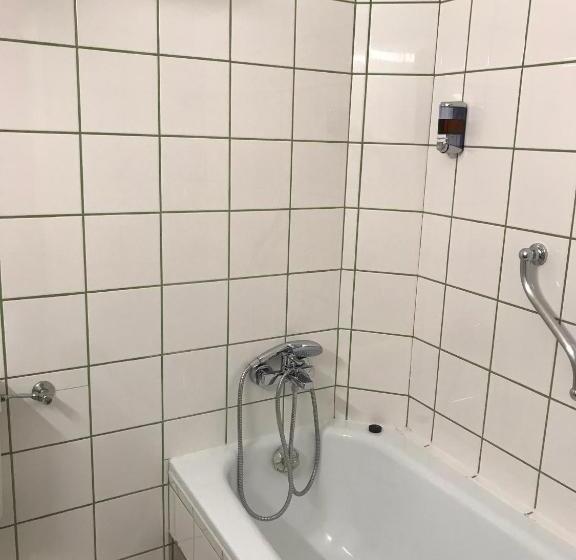 Трежместный Номер Economy, Payerbacherhof