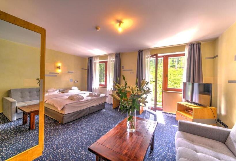 Номер Superior, Jelenia Struga Medical Spa