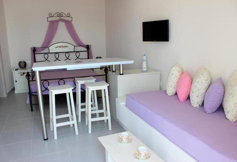 إستوديو قياسى, Drimoni Boutique