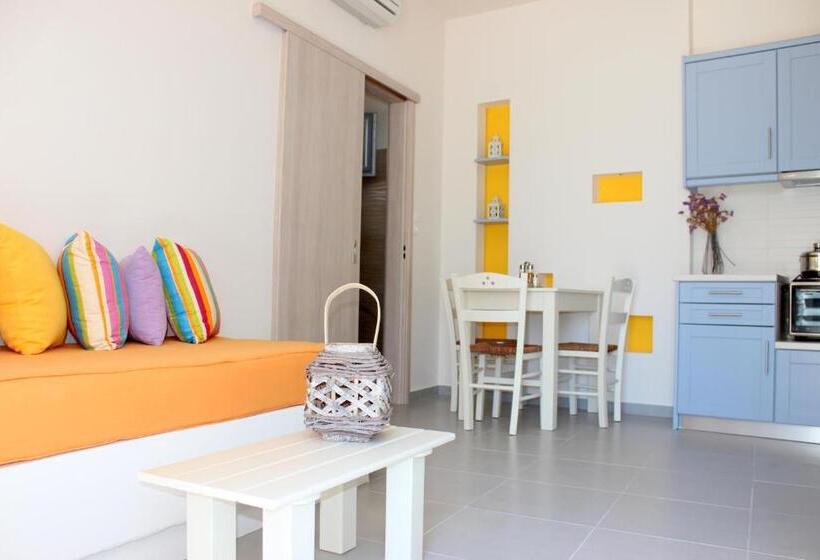إستوديو قياسى, Drimoni Boutique