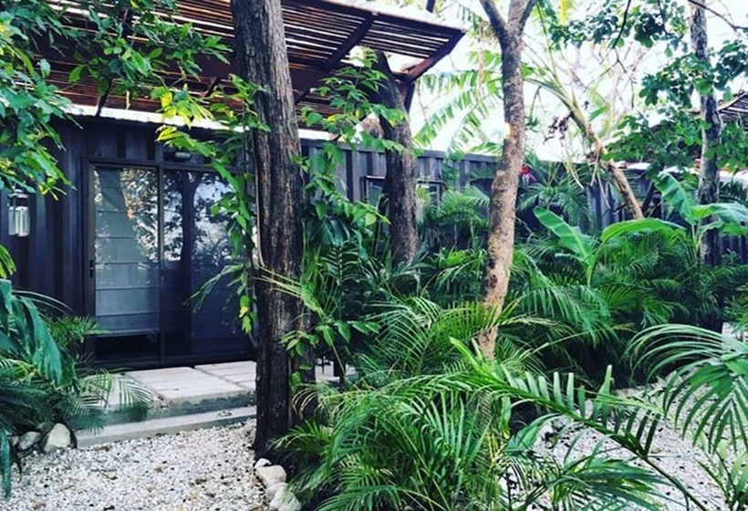 带泳池的标准三人间, Green Sanctuary