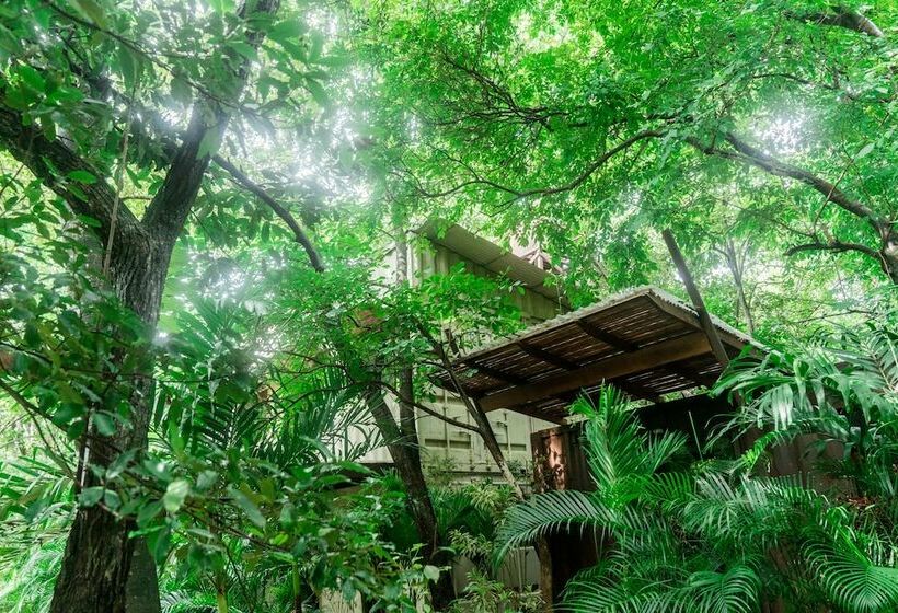 带花园景观的标准三人间, Green Sanctuary