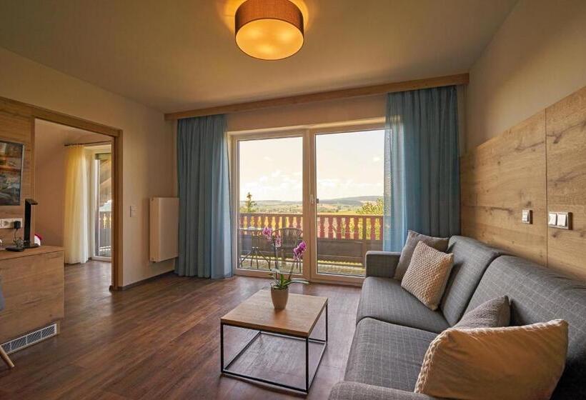 Студия Стандарт, Wellnesshotel Zum Koch