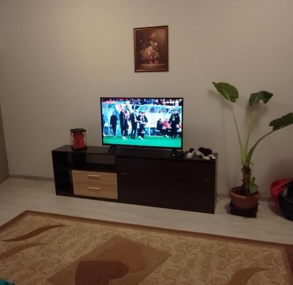 家庭间, Casa Mocanu