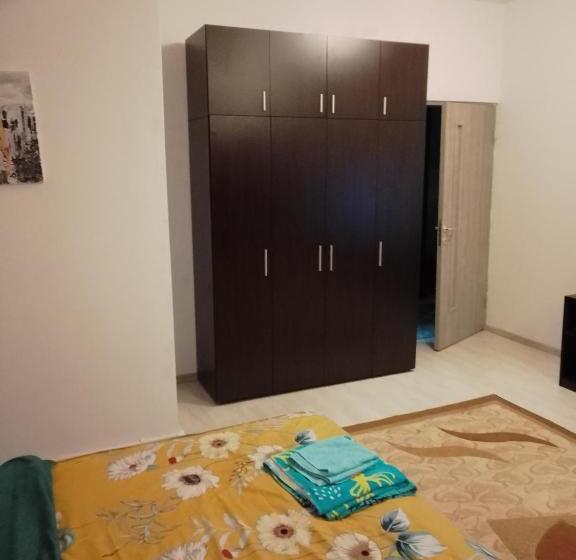 家庭间, Casa Mocanu