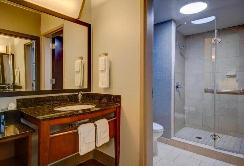高级寓所标准房间, Hyatt Place Grand Rapids South