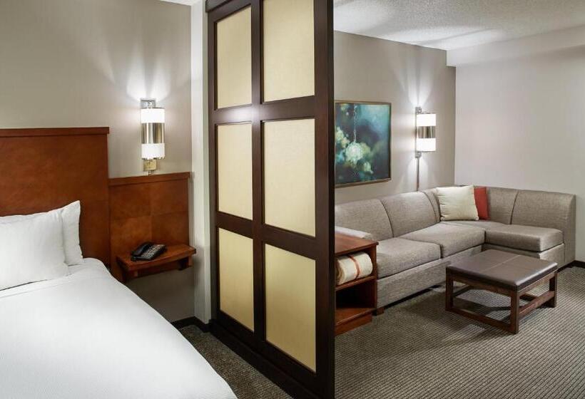 适合残疾人使用的标准间, Hyatt Place Grand Rapids South