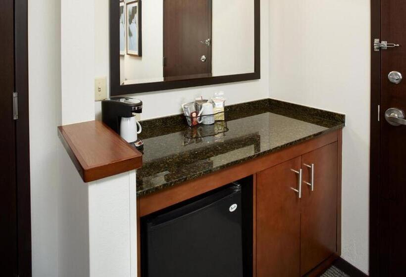 带大床的标准工作室, Hyatt Place Grand Rapids South
