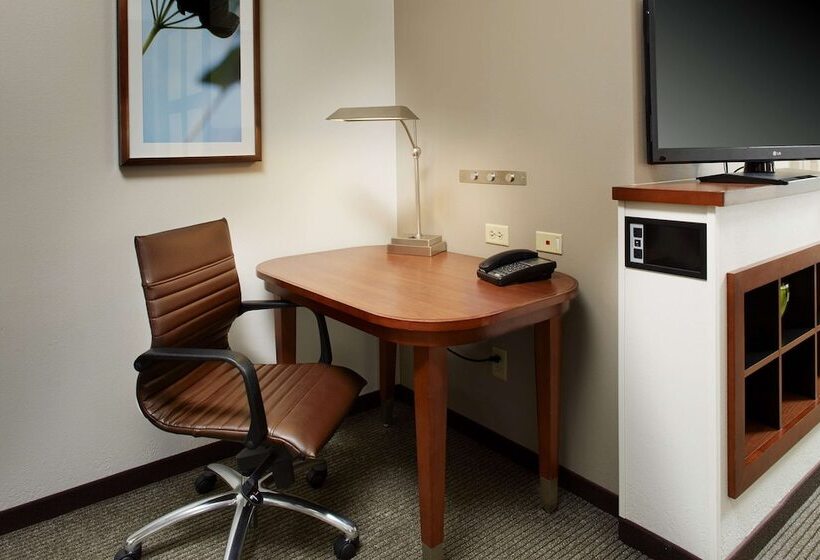 带2个双人床的标准工作室, Hyatt Place Grand Rapids South